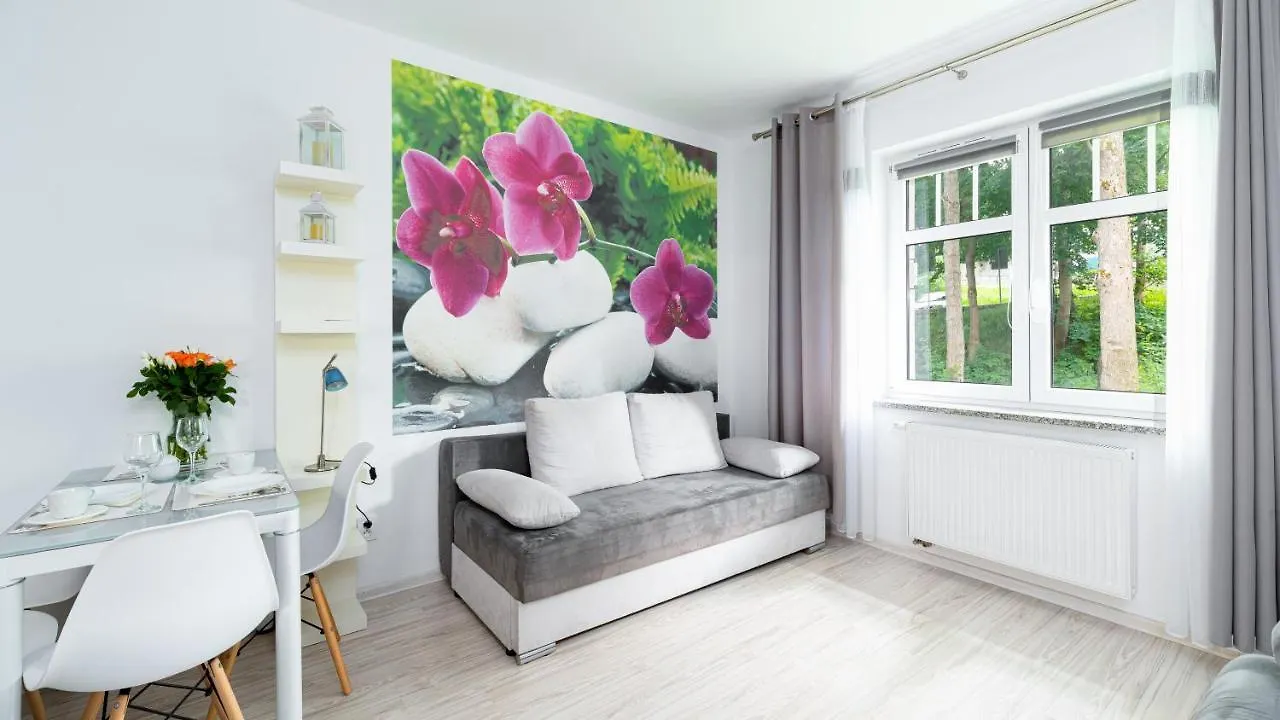 Apartamenty Sun & Snow Karpacz Sucha